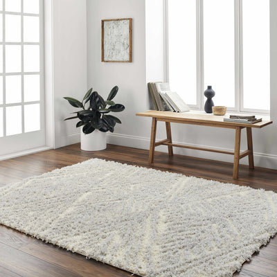 Ioana Gray Plush Area Rug