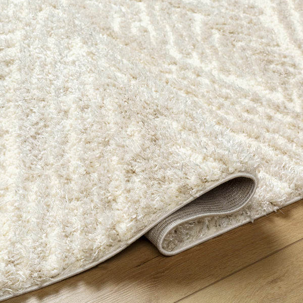 Ioana Beige Plush Area Rug