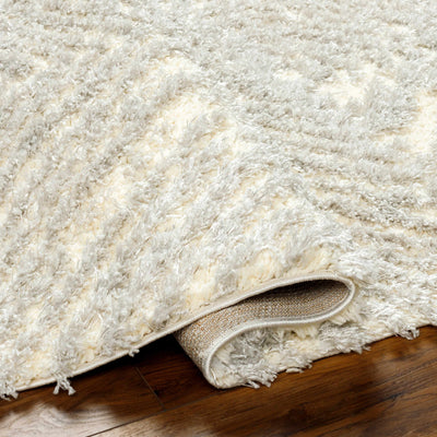 Isano Gray Plush Area Rug