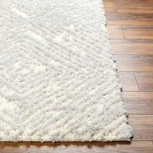 Isano Gray Plush Area Rug