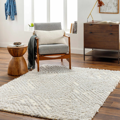 Isano Gray Plush Area Rug