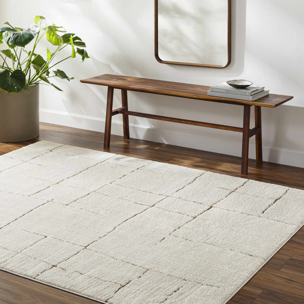 Koume Ivory & Brown Area Rug