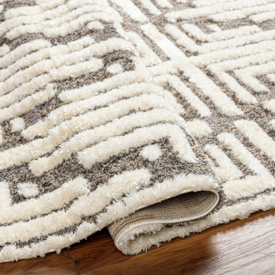 Livi Beige Area Rug - Clearance