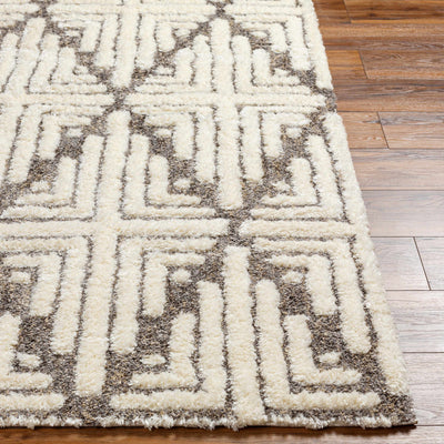 Livi Beige Area Rug - Clearance