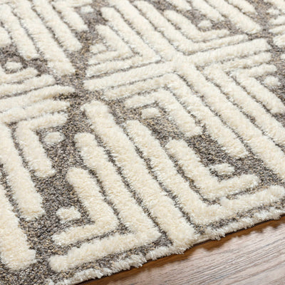 Livi Beige Area Rug - Clearance