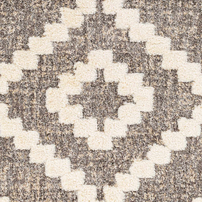 Rian Brown Area Rug - Clearance