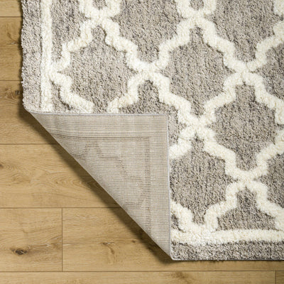 Yepa Beige Area Rug - Clearance