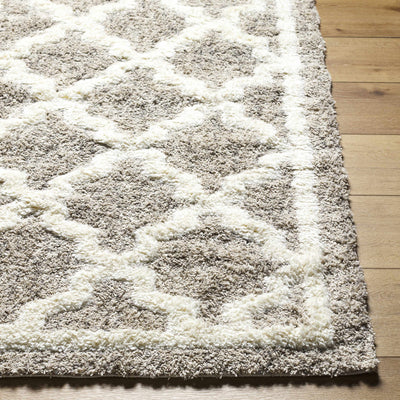 Yepa Beige Area Rug - Clearance