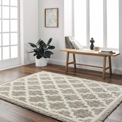 Yepa Beige Area Rug - Clearance