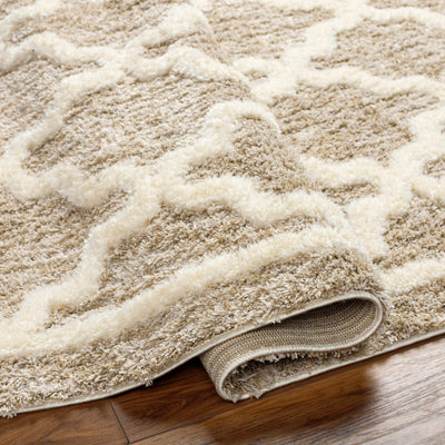 Yepa Tan Area Rug - Clearance