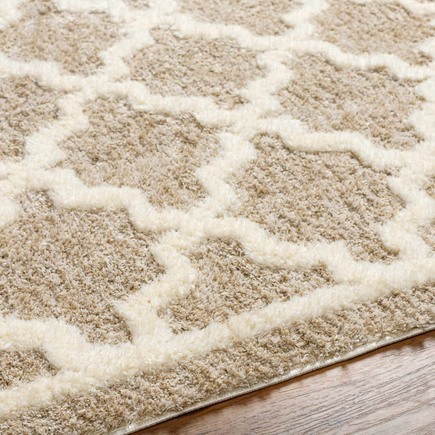 Close-up of the Yepa Tan Area Rug showing its shag texture and geometric pattern in tan and ivory. Texture