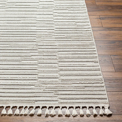 Cate Block Striped Textured Rug