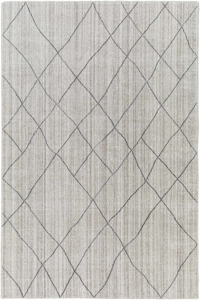 Nari Light Gray Area Rug