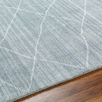 Nari Blue Area Rug