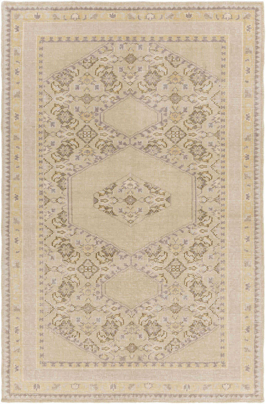 Close-up of the hand-knotted Shoemakersville Area Rug. Beige wool rug with dark brown and mustard farmhouse pattern. Design-Rectangle-5686