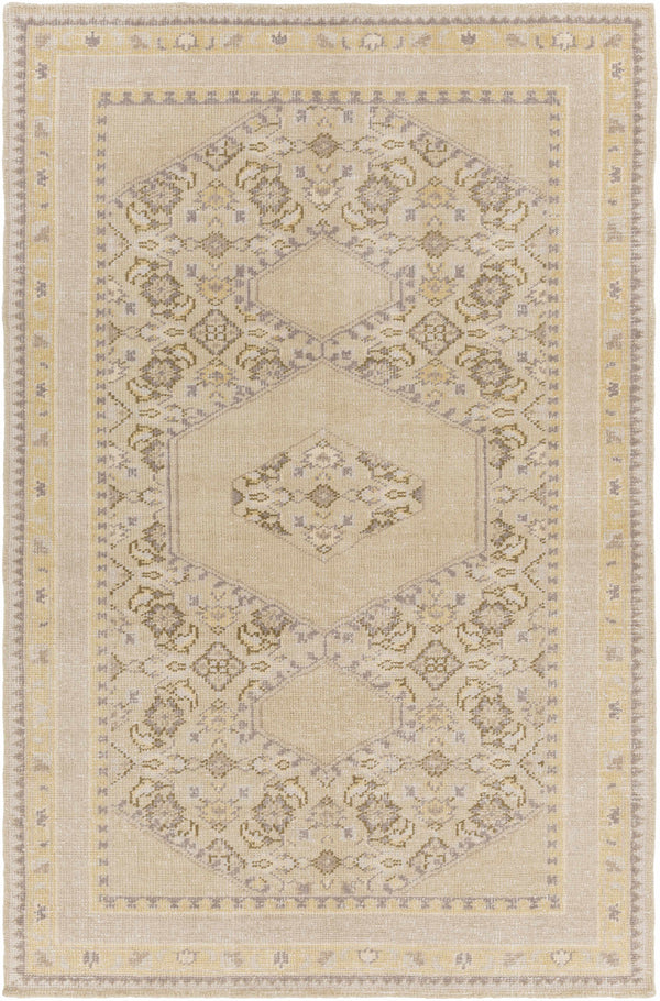 Shoemakersville Area Rug - Clearance