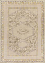Close-up of the Shoemakersville Area Rug. Beige rug with dark brown and mustard geometric patterns and a hand-knotted texture. Design-Rectangle-811