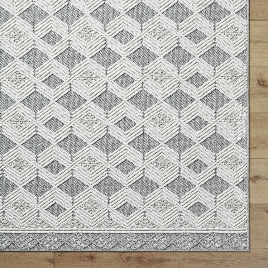 Salil Ivory Area Rug - Clearance