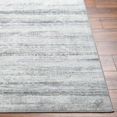 Blake Washable Area Rug