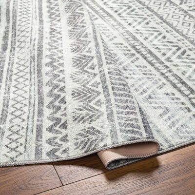 Ianna Area Rug