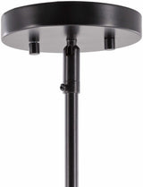 Shropshire Ceiling Light - Clearance