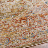 Alois Tan Rich Textured Traditional Rug