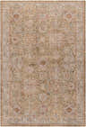 Close-up of the Ange Tan Rich Textured Traditional Rug, showcasing its bone, clay, and walnut colors and farmhouse style. Design-Rectangle-6796