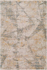 Close-up of the Cadao Rich Textured Traditional Rug. Features light peach, mocha, multi brown, and taupe colors. Design-Rectangle-575