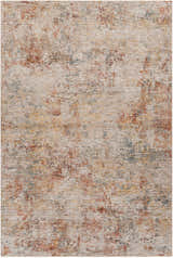 Close-up of the Chas Tan Rich Textured Traditional Rug featuring bone, clay, and dark gray hues. Design-Rectangle-6796