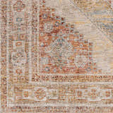 Close-up of the Moya Tan rug showing its rich texture, traditional pattern, and colors like bone, clay, and dark brown. Swatch