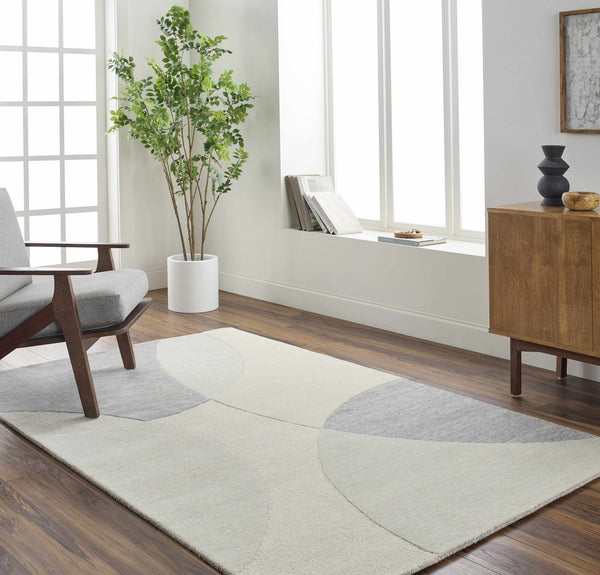 Cassiopeia Gray & Beige Area Rug