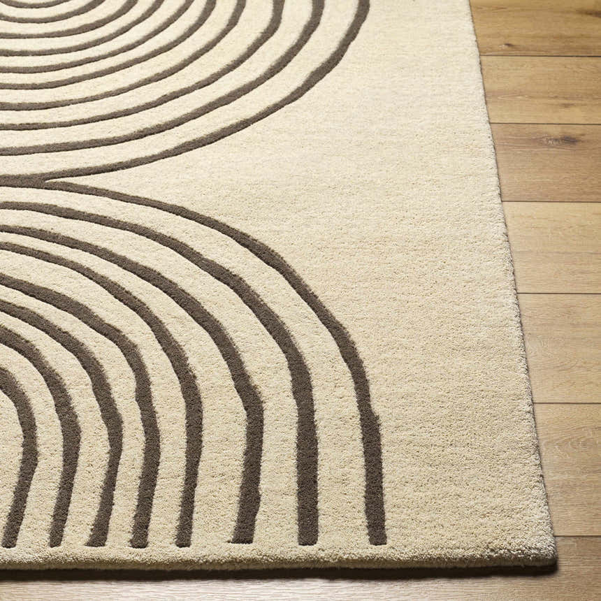 Close-up of the Fuat Beige Area Rug, a hand-tufted wool rug with a contemporary brown concentric circle design. Front