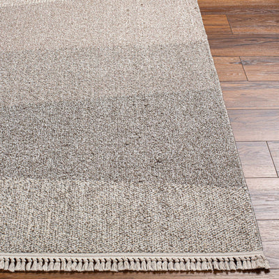 Gray Elior Area Rug