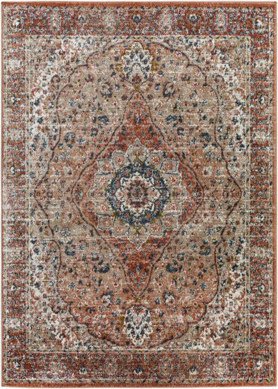 Sigaboy Traditional Area Rug - Clearance