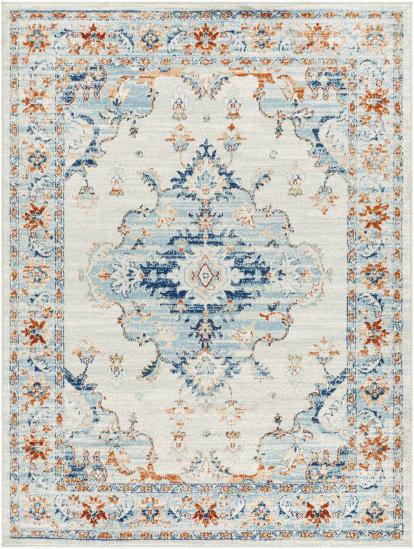 Liciada Gray & Blue Area Rug - Clearance