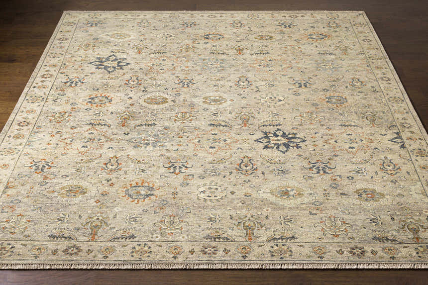 Close-up of the Sipocot Premium Area Rug, showcasing its beige, brick red, and navy bohemian pattern and hand-knotted texture. Front