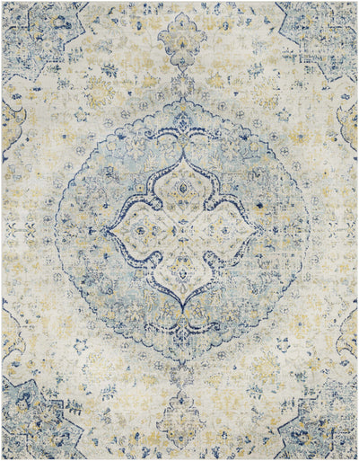 Ivory Teal Ojus Area Rug - Clearance