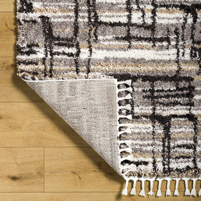 Arne Area Rug