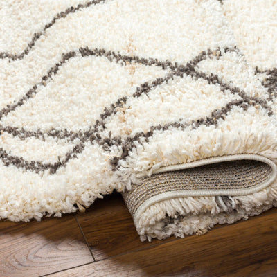 Hersz Cream Area Rug