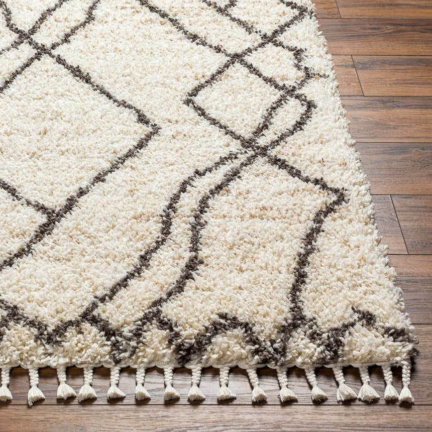 Close-up of the Hersz Cream Area Rug, a shag rug with a geometric dark brown pattern and tassels on a wood floor. Front