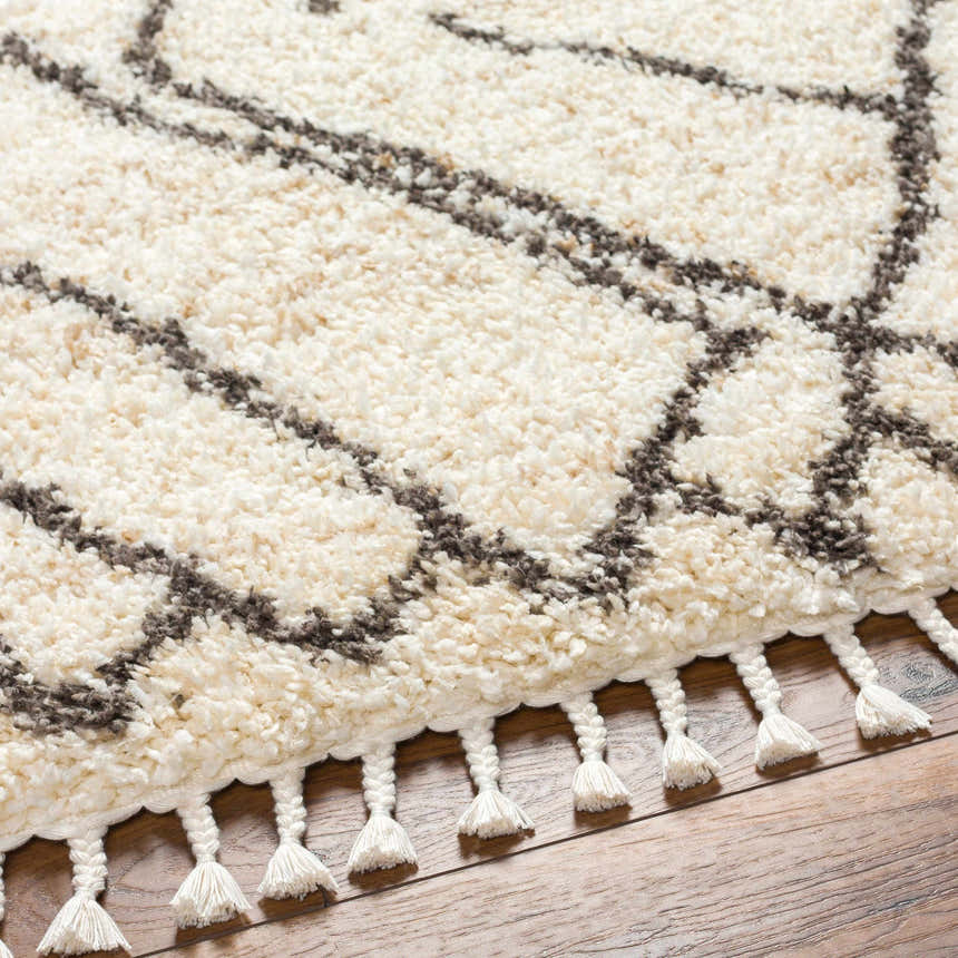 Close-up of the Hersz Cream Area Rug showing its shag texture, geometric pattern, and braided fringe detail. Texture