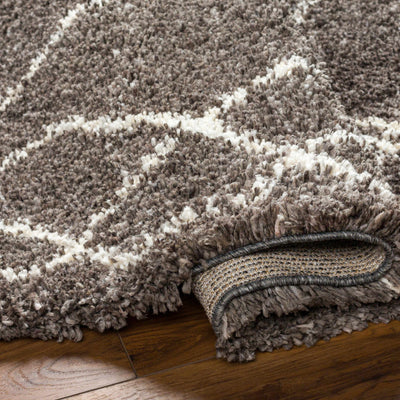 Hersz Gray Area Rug