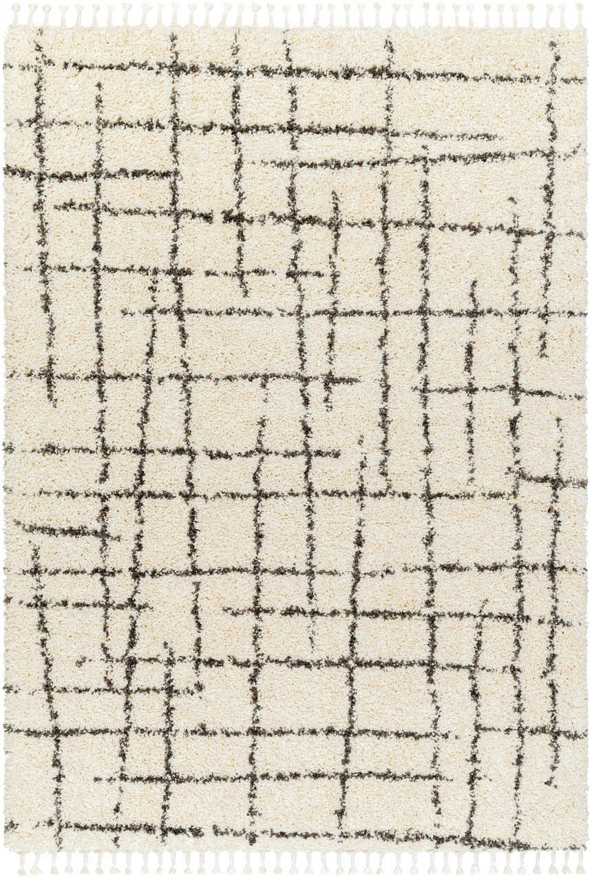 Close-up of the Hodor Area Rug: a beige shag rug with a gray grid pattern and tassel fringe. Farmhouse style. Design-Rectangle-537