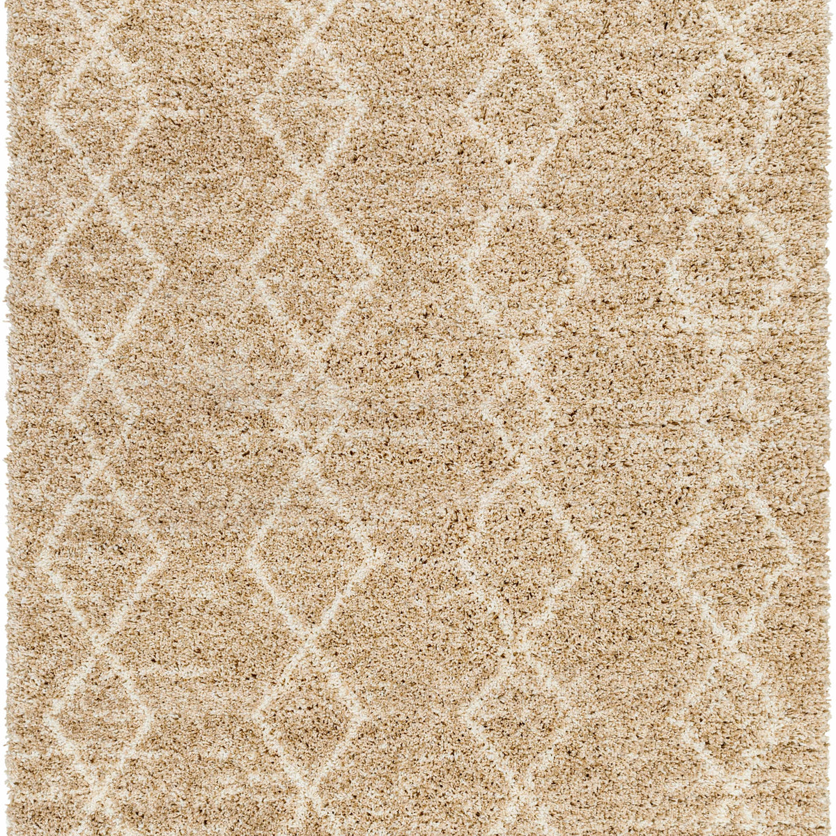 Ishan Area Rug - Clearance – Boutique Rugs