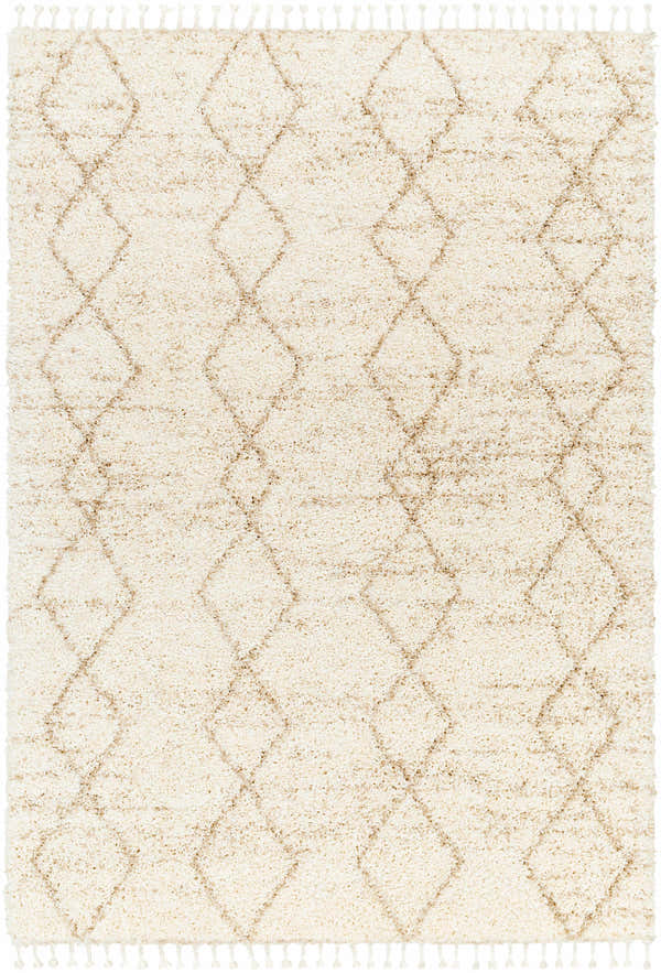 Close-up of the Ishan Cream Area Rug featuring a diamond pattern and tassels. Beige, tan, and cream shag rug. Design-Rectangle-537