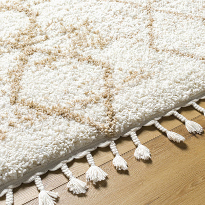 Ishan Cream Area Rug