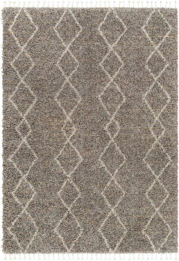 Close-up of the Ishan Taupe Area Rug, a shag rug with a diamond trellis pattern and fringe. Beige, brown, and gray tones. Design-Rectangle-537