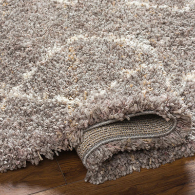 Ishan Taupe Area Rug