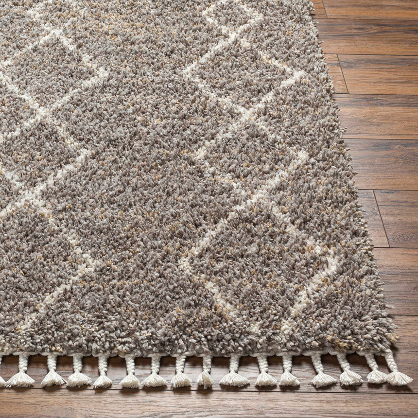 Ishan Taupe Area Rug - Clearance