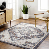 Lewa Charcoal Area Rug - Clearance